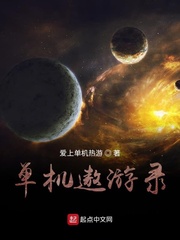 单机遨游录小说封面