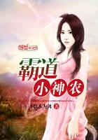 霸道小神农小说封面