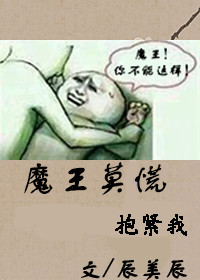 魔王莫慌小说封面