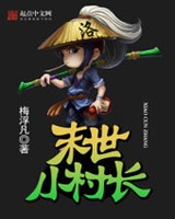 末世小村长小说封面