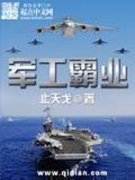 军工霸业小说封面