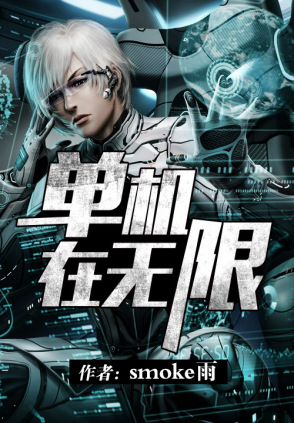 单机在无限小说封面