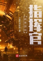 战争游戏指挥官小说封面