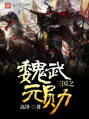 三国之魏武元勋小说封面
