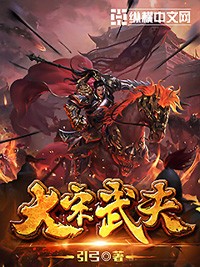 大宋武夫小说封面