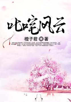 叱咤风云小说封面