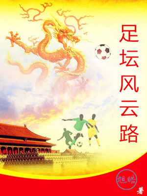 足坛风云路小说封面