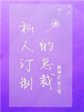 私人订制的总裁小说封面