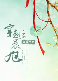 穿越之晨旭小说封面