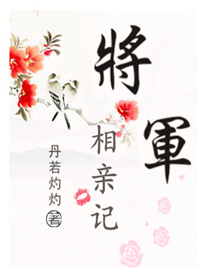 将军相亲记小说封面