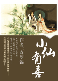 小仙有喜小说封面