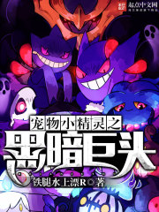 宠物小精灵之黑暗巨头小说封面
