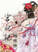 宫妃记小说封面