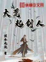 大荒起剑人小说封面
