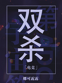 双杀小说封面