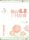 他的温柔只给我小说封面