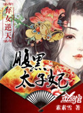 弃女逆天：腹黑太子妃小说封面