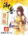 御兽灵仙小说封面