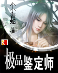 极品鉴定师小说封面