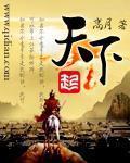 天下小说封面