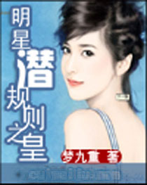 明星潜规则之皇小说封面