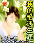 我的艳遇生涯小说封面