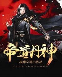 帝道丹神小说封面