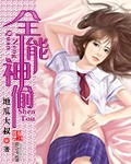 全能神偷小说封面