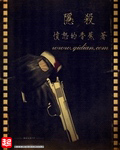 隐杀小说封面