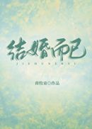 结婚而已小说封面