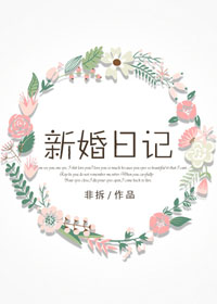 新婚日记小说封面