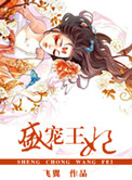 盛宠王妃小说封面